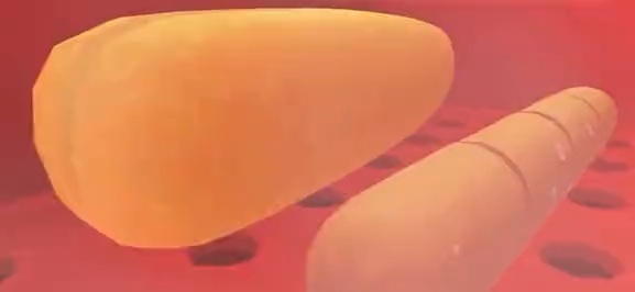 Suivre une recette de hot-dog